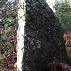 Menhir de Saint-Gondon