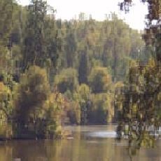Butte Creek Ecological Reserve
