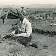 Horner Site