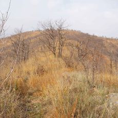 Punta Fournà
