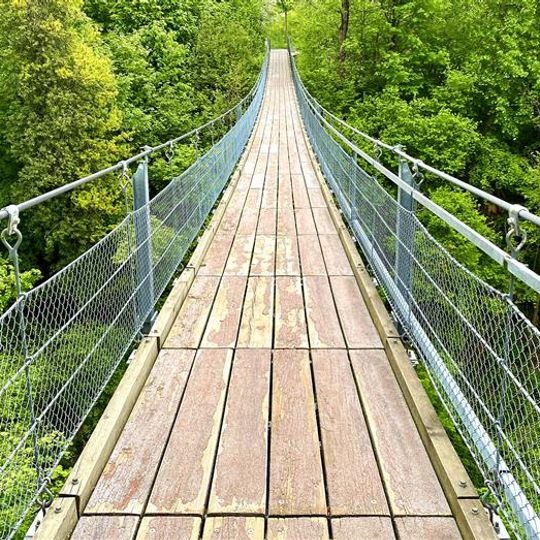 Beugenbach Hängebrücke Meilen