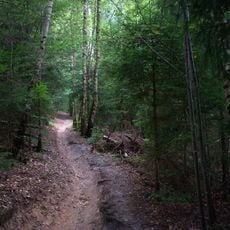 Landschaftsschutzgebiet L 6.03.03