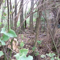 Hügelgrab Kirchberg