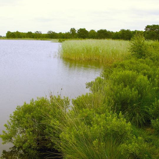 Wollingster See mit Randmoor