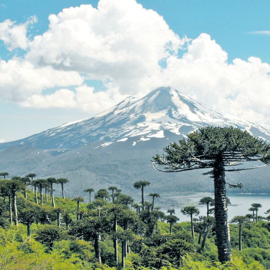 Conguillío National Park