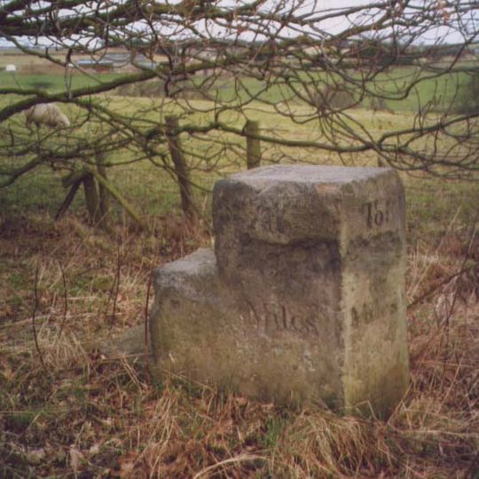 Milepost At Se 236 422