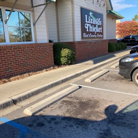 Lizard's Thicket