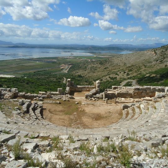 Pleuron