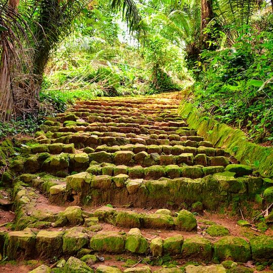 Jardín Botánico de Entebbe