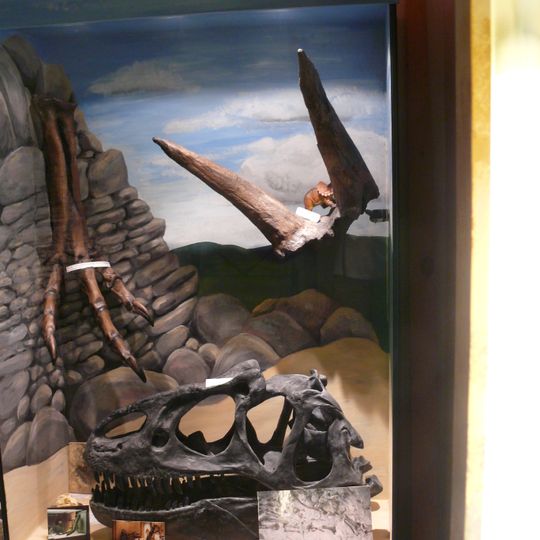 Den förhistoriska världen