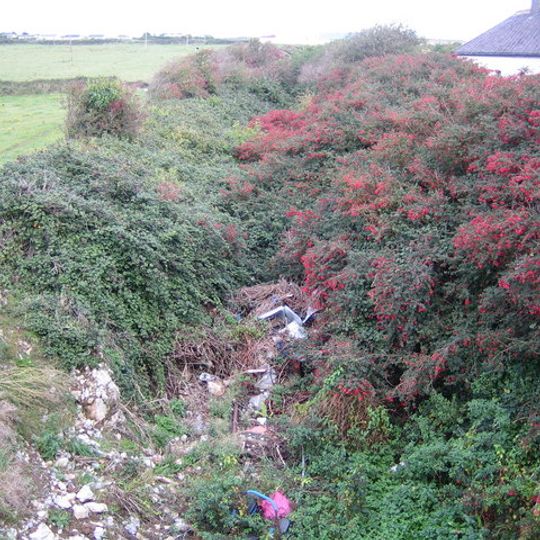 Tralee-Fenit Greenway