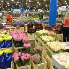 New Covent Garden Market