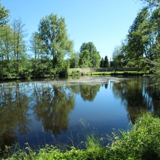 Réserve naturelle régionale des étangs de Bonnelles