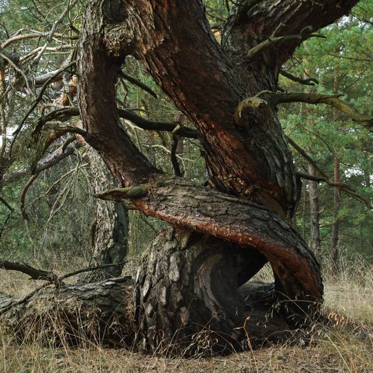 Swatzke- und Skabyberge