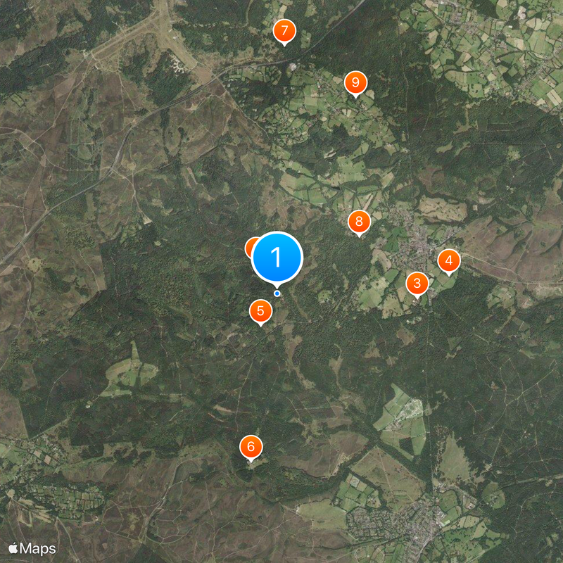 New Forest Map