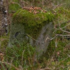 Forstgrenzsteine der Nord- und Westgrenzen des Fürther Stadtwaldes Nr. 52–54, 56–59, 64–65, 67, 69–75, 77, 82–84, 86, 88, 91–95, 99–102, 105