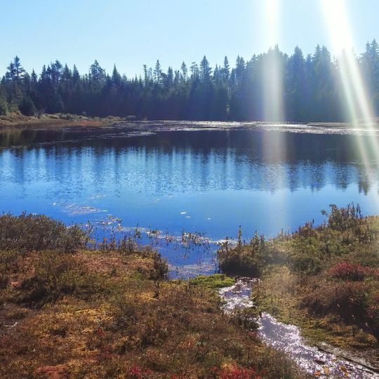 Parc naturel Salmonier