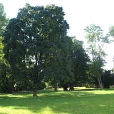 Dubnický kaštieľ, park