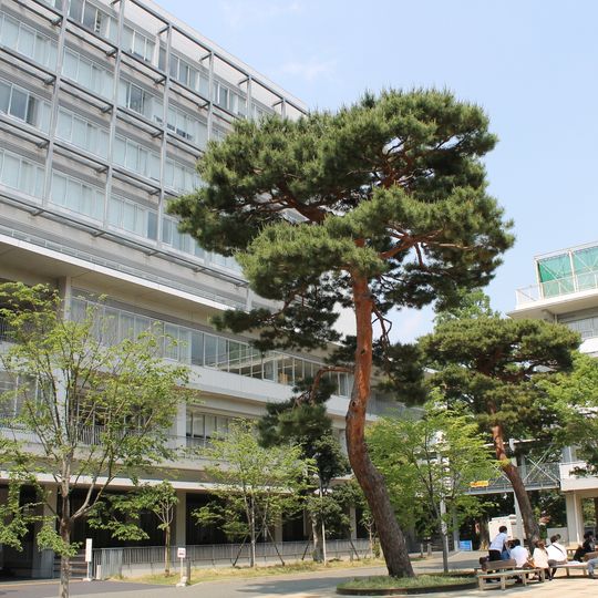 Seijo University