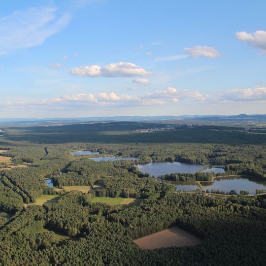 Charlottenhofer Weihergebiet, Hirtlohweiher und Langwiedteiche
