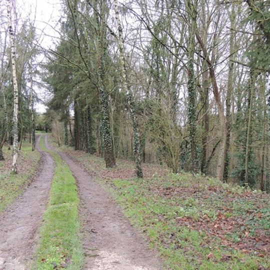 Motte castrale, Prasville