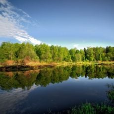 Park Narodowy „Zawidowo”