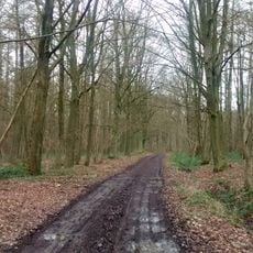 Bois des Waibes