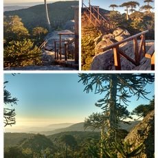 Nahuelbuta National Park