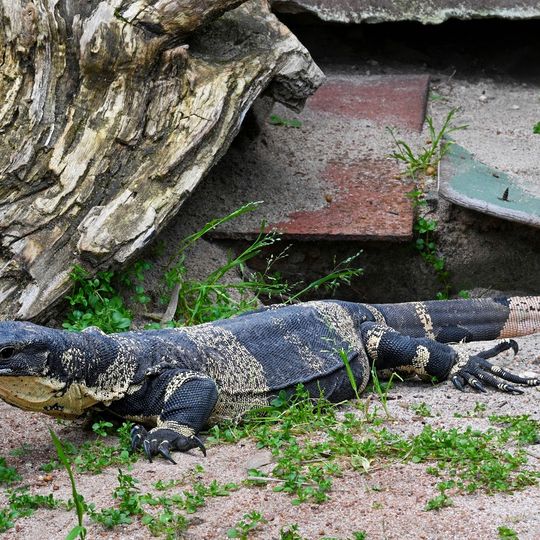 Armadale Reptile Centre