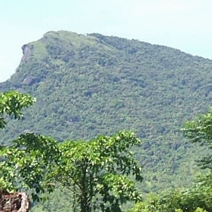 Mỹ Sơn