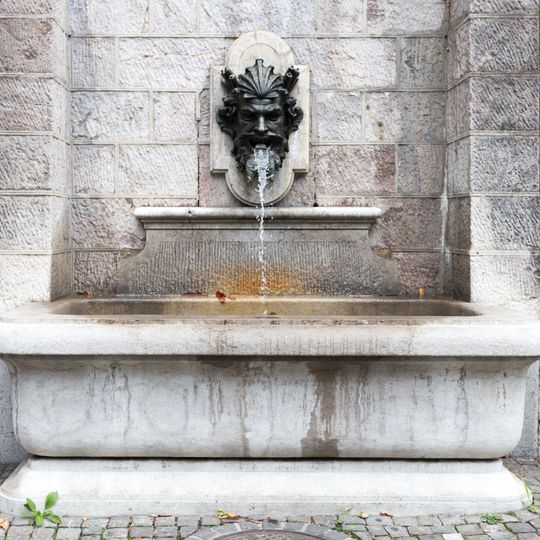 Fontaine sous l'Hotel Lullin-de Saussure