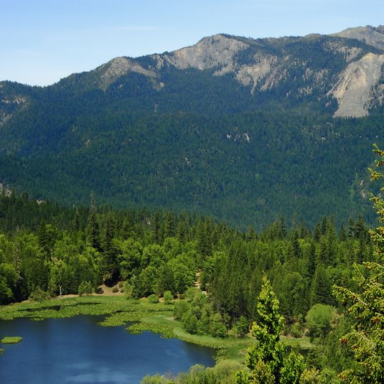 Mendocino National Forest