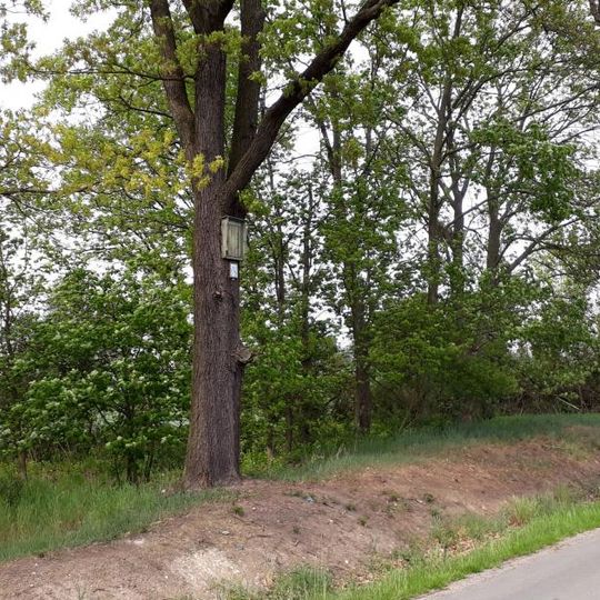 Obrázek východně od Plas