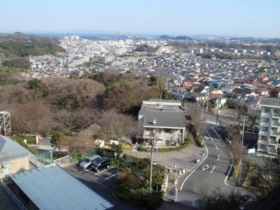 The view 1