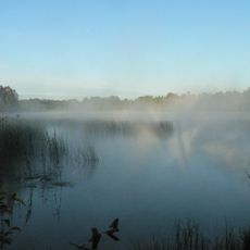 Suurjärv