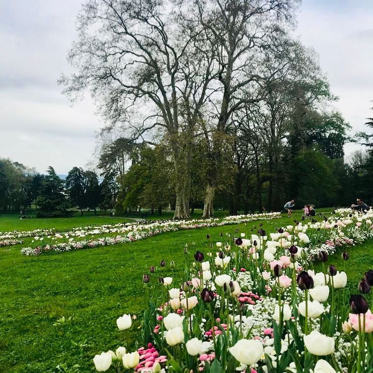 Parc La Grange