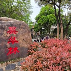 Tanhualin