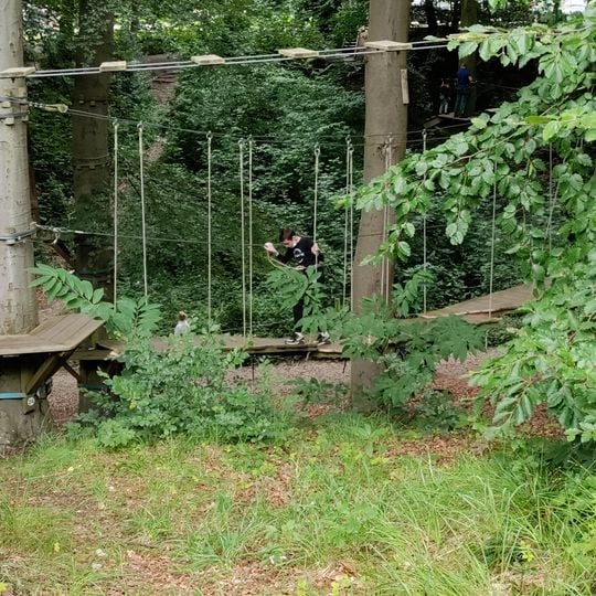 Woody Park