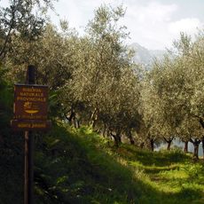 Biotopo del Monte Brione