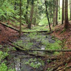 Gefütterter Graben bei Ungelstetten