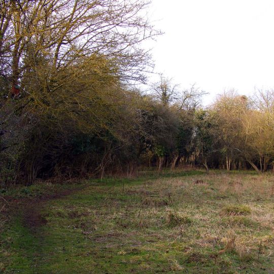 Lashford Lane Fen