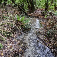 Hinehopu Scenic Reserve