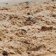 Lake Monticello Beach 4