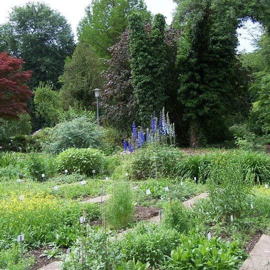 Old Botanical Garden of Göttingen University