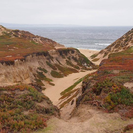 Parc d'État de Fort Ord Dunes