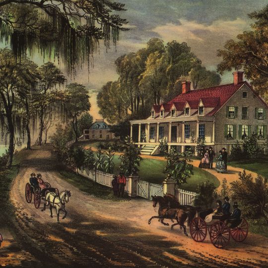 Woodland Plantation