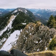 Hennen Kopf