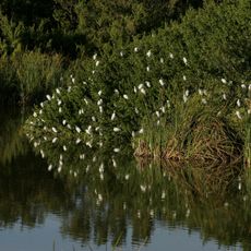 Everglades & Dry Tortugas