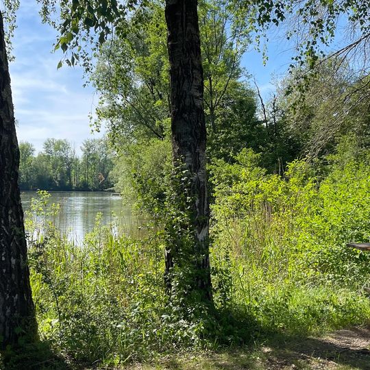 Naturbadeparadies Notzinger Weiher