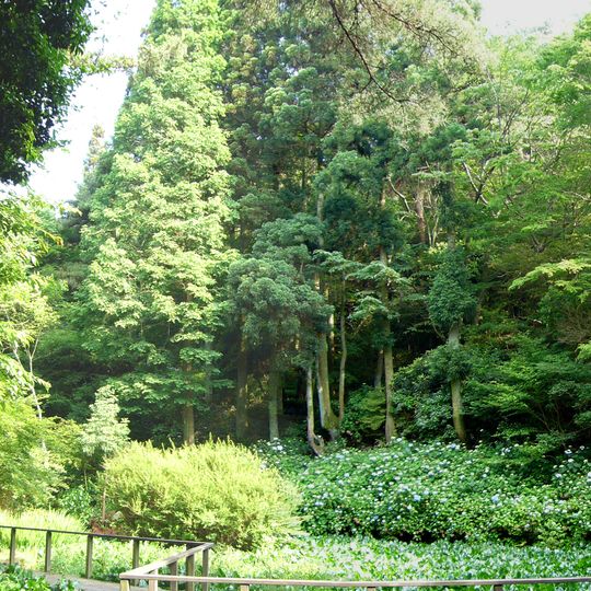 Maya Shizen Kansatsu-en